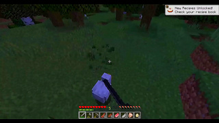 Busty Streamers Unleashed in Minecraft Mecha Hentai Fantasy