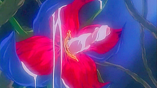 Carnivorous Bloom Feasts on Slaves Nectar in Steamy Jungle Rite